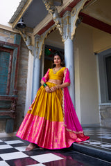 Zari Weaving Pattu Silk Lehenga